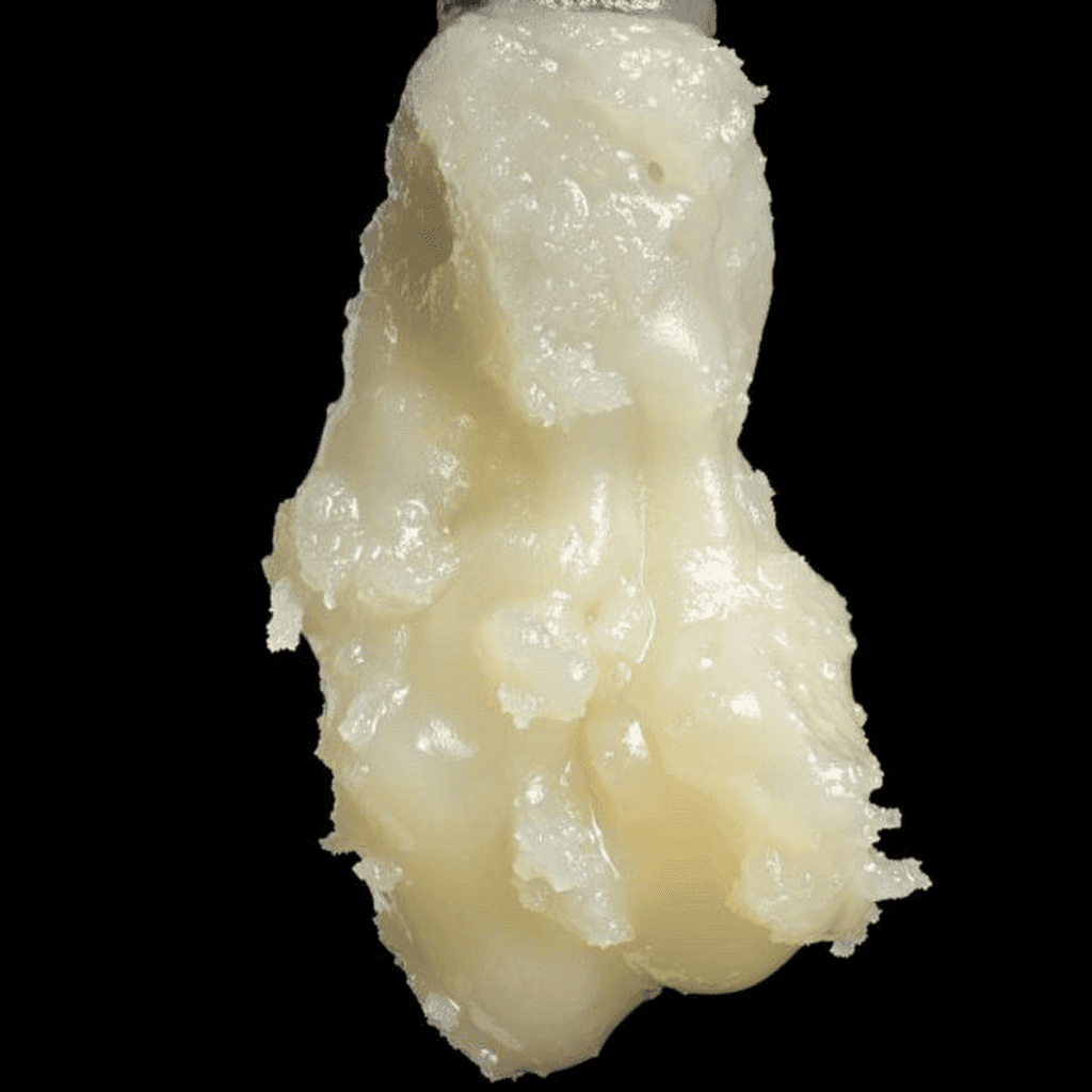 Melon Dough Rosin by Terp Wizard