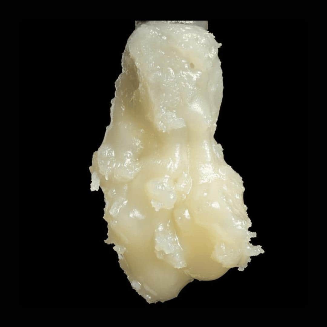 Terp Wizard - Melon Dough